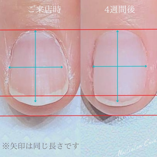 S__2678801