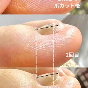 見出しを追加 - 2