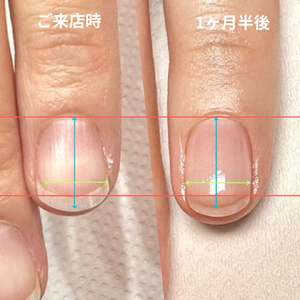 見出しを追加 - 4
