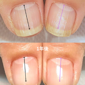 見出しを追加 - 3