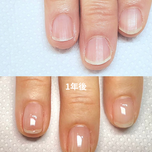 見出しを追加 - 2